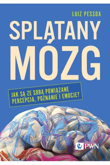 Spl�tany m�zg - Luiz Pessoa