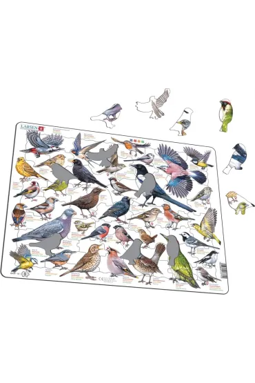 Puzzle Uk�adanka Garden Birds Ptaki ogrodowe polne Maxi Larsen