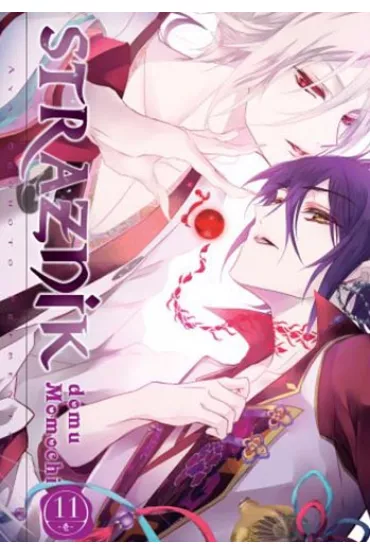 Stra�nik Domu Momochi. Tom 11 - Aya Shouoto