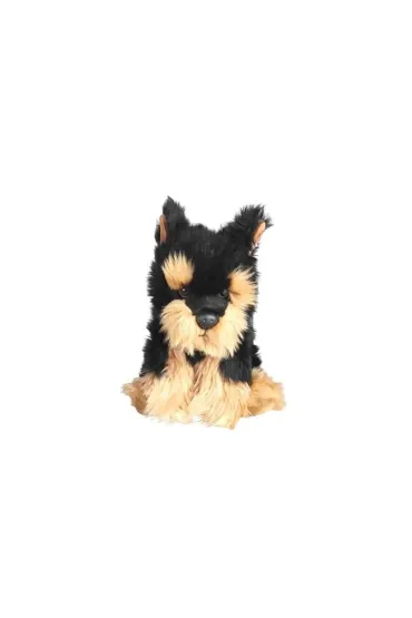Pies morkie 30cm Dubi