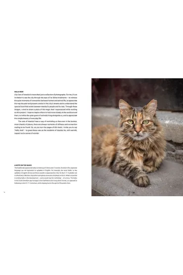 City Cats of Istanbul - Marcel Heijnen