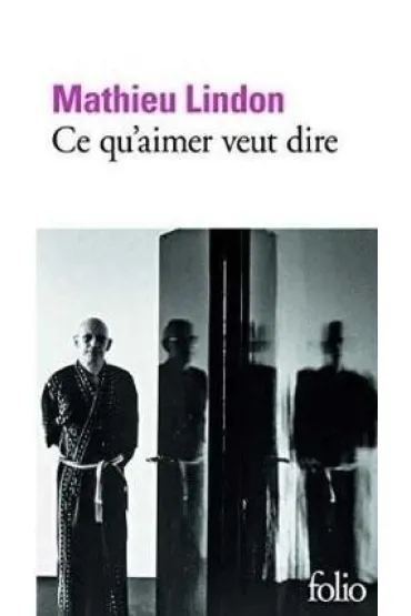 Ce quaimer veut dire - Lindon  Mathieu