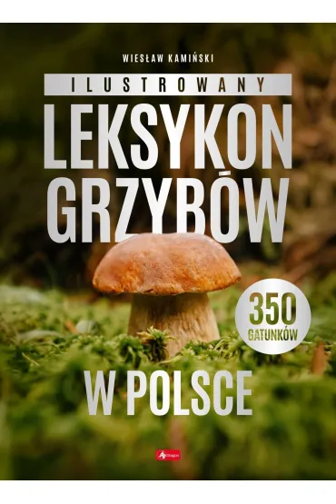 Ilustrowany leksykon grzyb�w w Polsce - Wies�aw Kami�ski