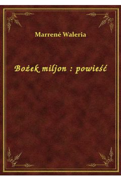 eBook Boek miljon : powie epub