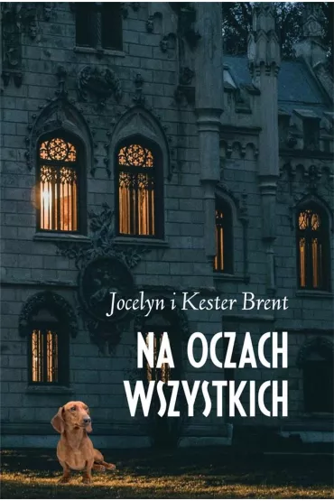 Na oczach wszystkich (pocket) - Brent Jocelyn, Brent Kester