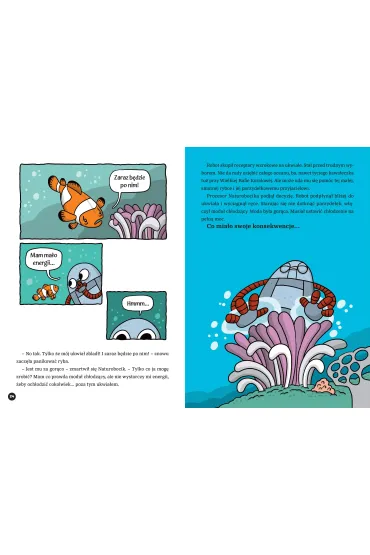 Naturobocik. Tom 4. Znikaj�ce kolory rafy - Tomasz Samojlik