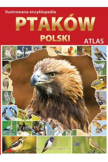 Ilustrowana encyklopedia ptak�w Polski