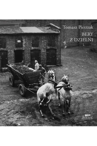 Bery z dzielni - Tomasz Pietrzak