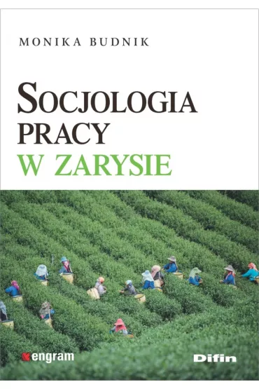 Socjologia pracy w zarysie - Monika Budnik