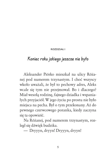 Tajemnica zaczarowanego klasera - Skrzat - Danuta Zawadzka