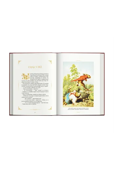 Ba�nie braci Grimm - Jakub Grimm, Wilhelm Grimm