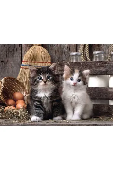 Puzzle 1000 el. Lovely Kittens Clementoni