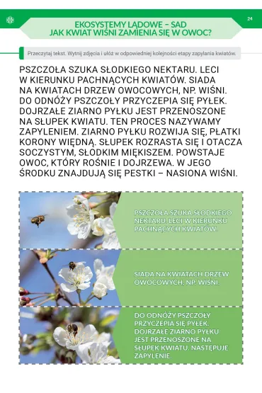 Podr� przez pory roku. Cz�� 3 (nowe wydanie) - Alicja Tanajewska, Renata Naprawa