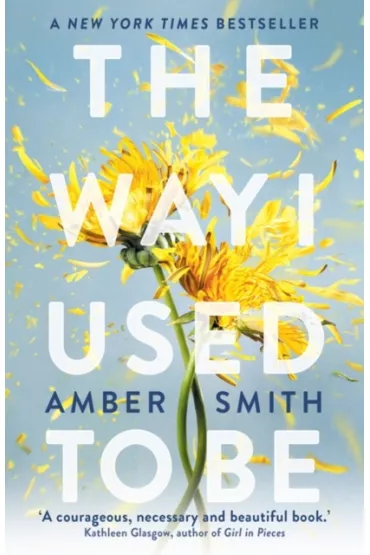 The Way I Used to Be - Smith Amber