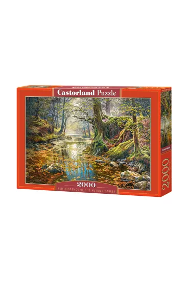 Puzzle 2000 el. Wspomnienie z jesiennego lasu Castorland