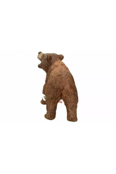Nied�wied� Grizzly