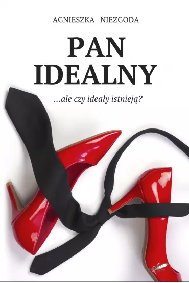 Pan Idealny - Agnieszka Niezgoda