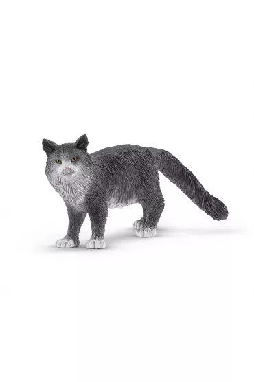 Kot Maine Coon