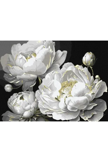 Ideyka Malowanie po numerach - Pi�kno 30x40cm