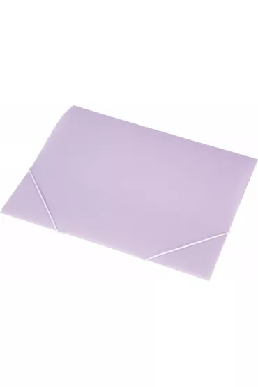 Panta Plast Teczka A4 Focus z gumk� transparentna