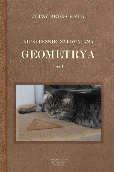 Nies�usznie zapomniana geometria. Tom 1 - Jerzy Bednarczuk