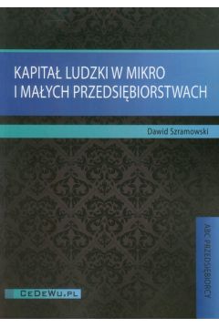 KAPITA LUDZKI W MIKRO I MAYCH PRZEDSIBIORSTWACH Dawid Szramowski