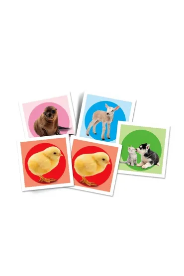 Memo Baby Animals Clementoni