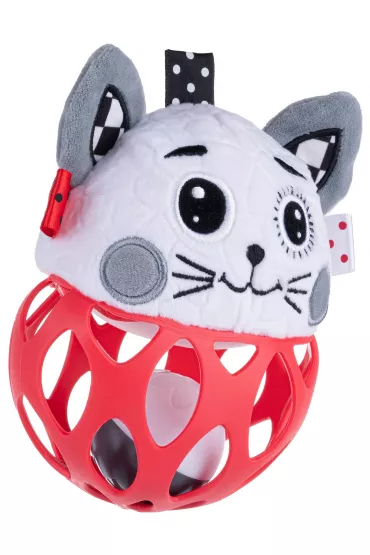 Pika-grzechotka Kot Dumel