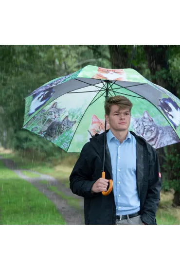 Parasol z motywem kot�w