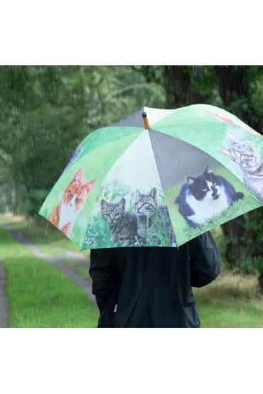 Parasol z motywem kot�w