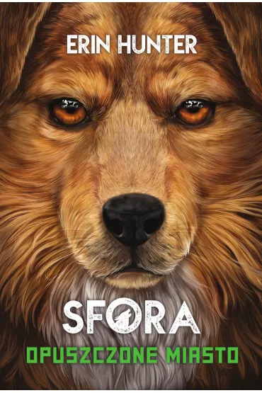 Opuszczone miasto. Sfora. Tom 1 - Erin Hunter