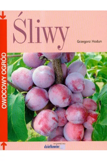 �liwy - Grzegorz Hodun