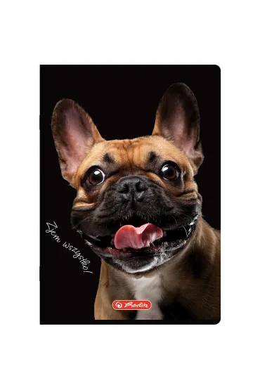 Herlitz Zeszyt A4 Crazy Animal z marginesem kratka 60 kartek