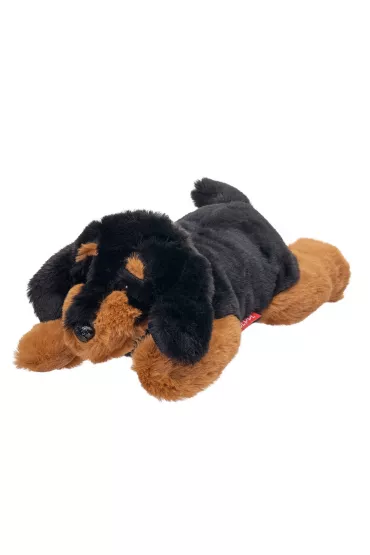 Maskotka Zoo Pies Jamnik le��cy 35cm Beppe
