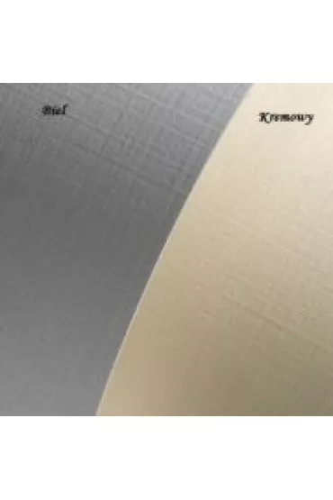 Argo Karton ozdobny P��tno 202102 230 g