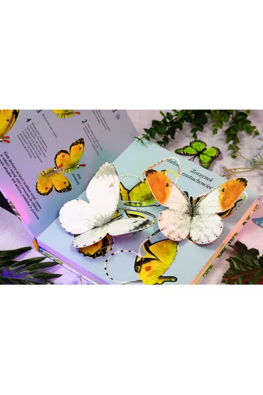 Motyle. M�odzi Przyrodnicy - Lauren  Fairgrieve