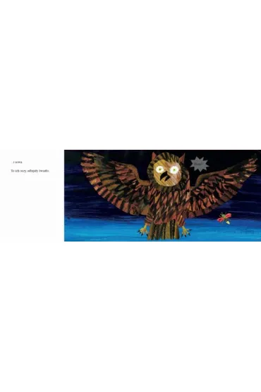 �wietlik - Eric Carle