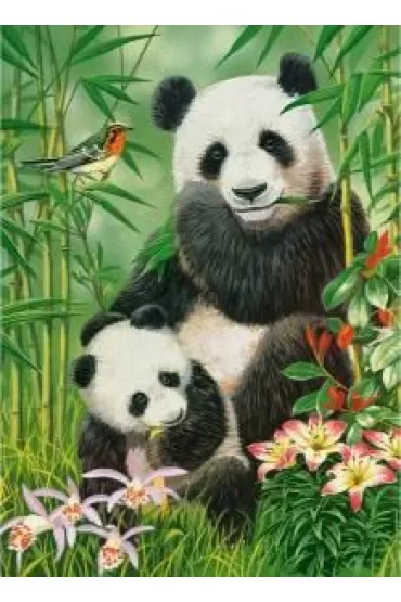 Puzzle 300 el. Panda Brunch Castorland