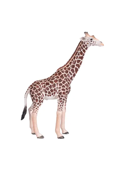 Figurka �yrafa samiec XL