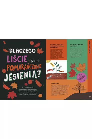 T�cza w kosmosie. Kolorowy przewodnik po tym, co ciekawe - Sheila  Kanani