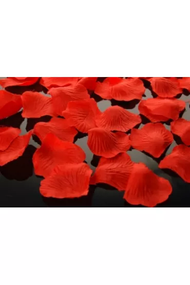 PartyDeco P�atki r� w woreczku czerwone