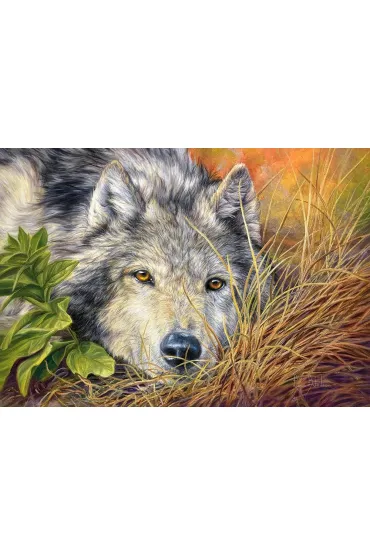 Puzzle 500 el. Wilk Castorland