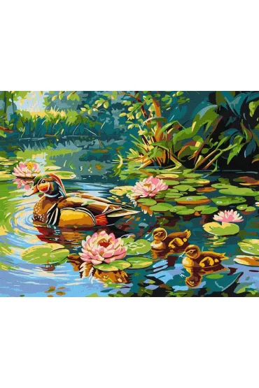 Ideyka Malowanie po numerach - Kacza rodzina 40x50cm