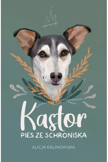 Kastor. Pies ze schroniska - Alicja  Kalinowska