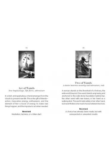 Nightfall Tarot, karty do wr�enia - Amory Abbott