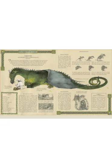 Dragonology: New 20th Anniversary Edition - Dugald Steer