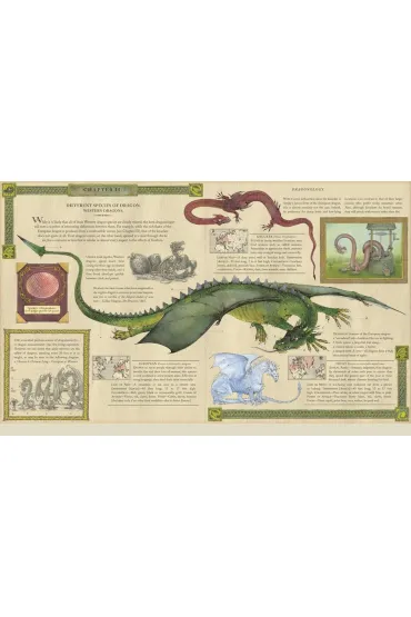 Dragonology: New 20th Anniversary Edition - Dugald Steer