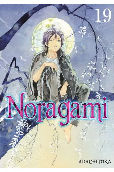 Noragami. Tom 19 - Adachitoka
