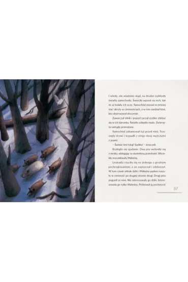 �winia Malwina - Krzysztof  �api�ski