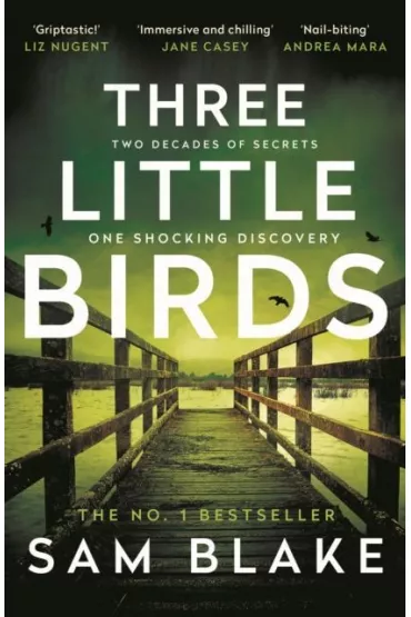 Three little birds wer. angielska - Sam Blake